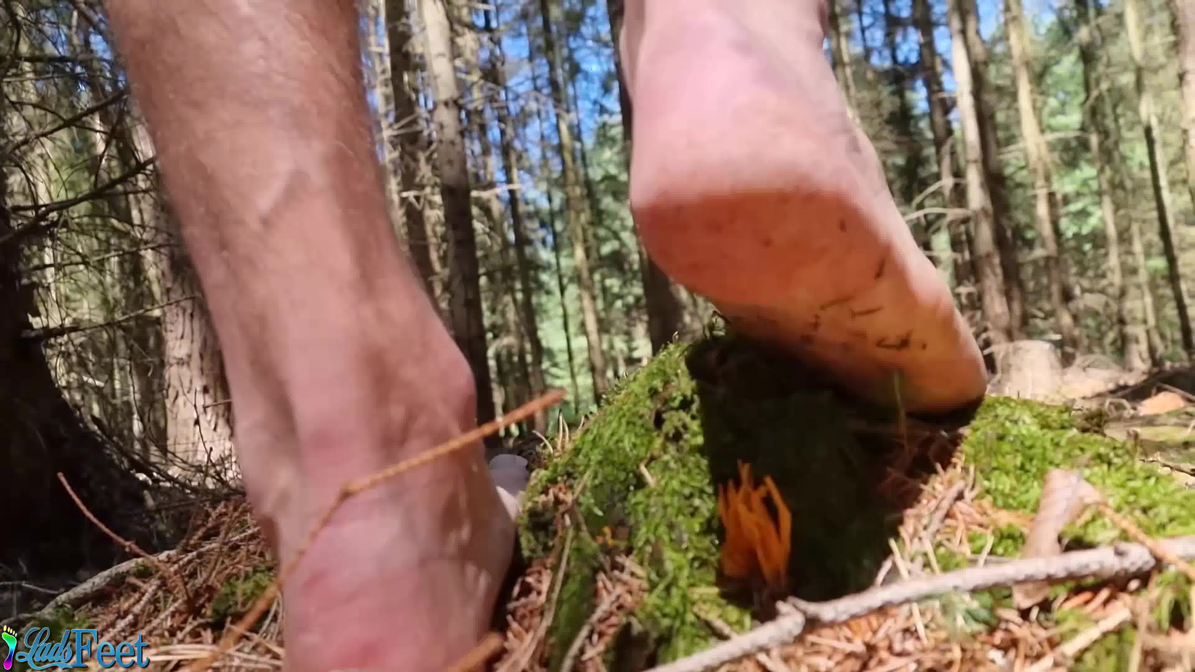 Milos Naked Forest Walk K Trailer Ladsfeet Gay Foot Fetish